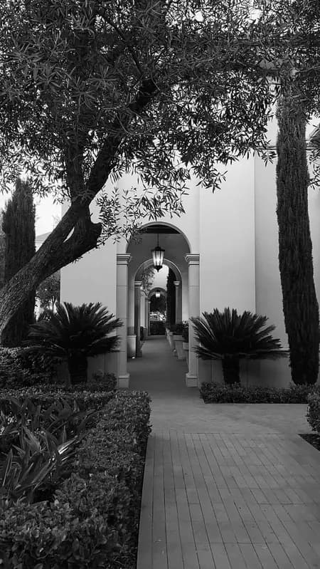 Tree-lined hotel garden walkway with an archway, black and white