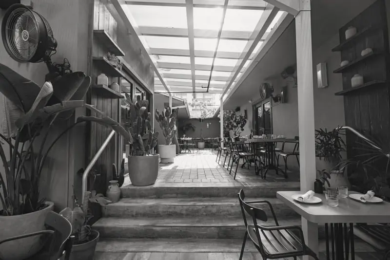 Bright café conservatory with plants, black and white